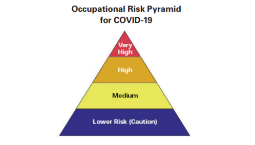 Occupational risk pyramid for COVID-19