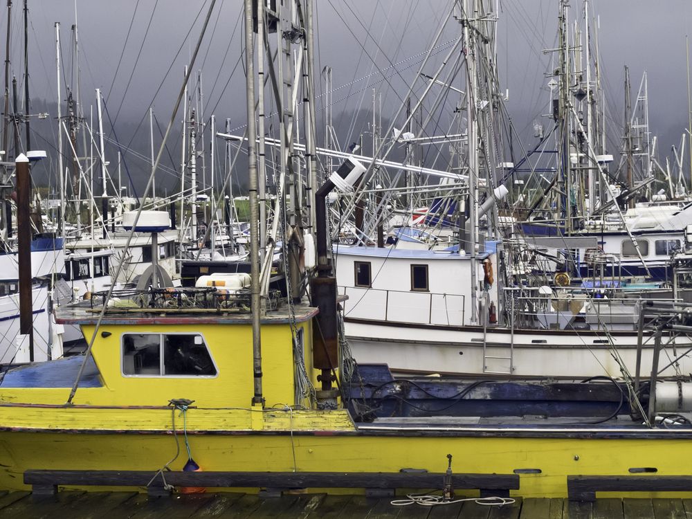 Marine Vessel Maintenance: How to Ensure Your Vessel is Ready for the Seas